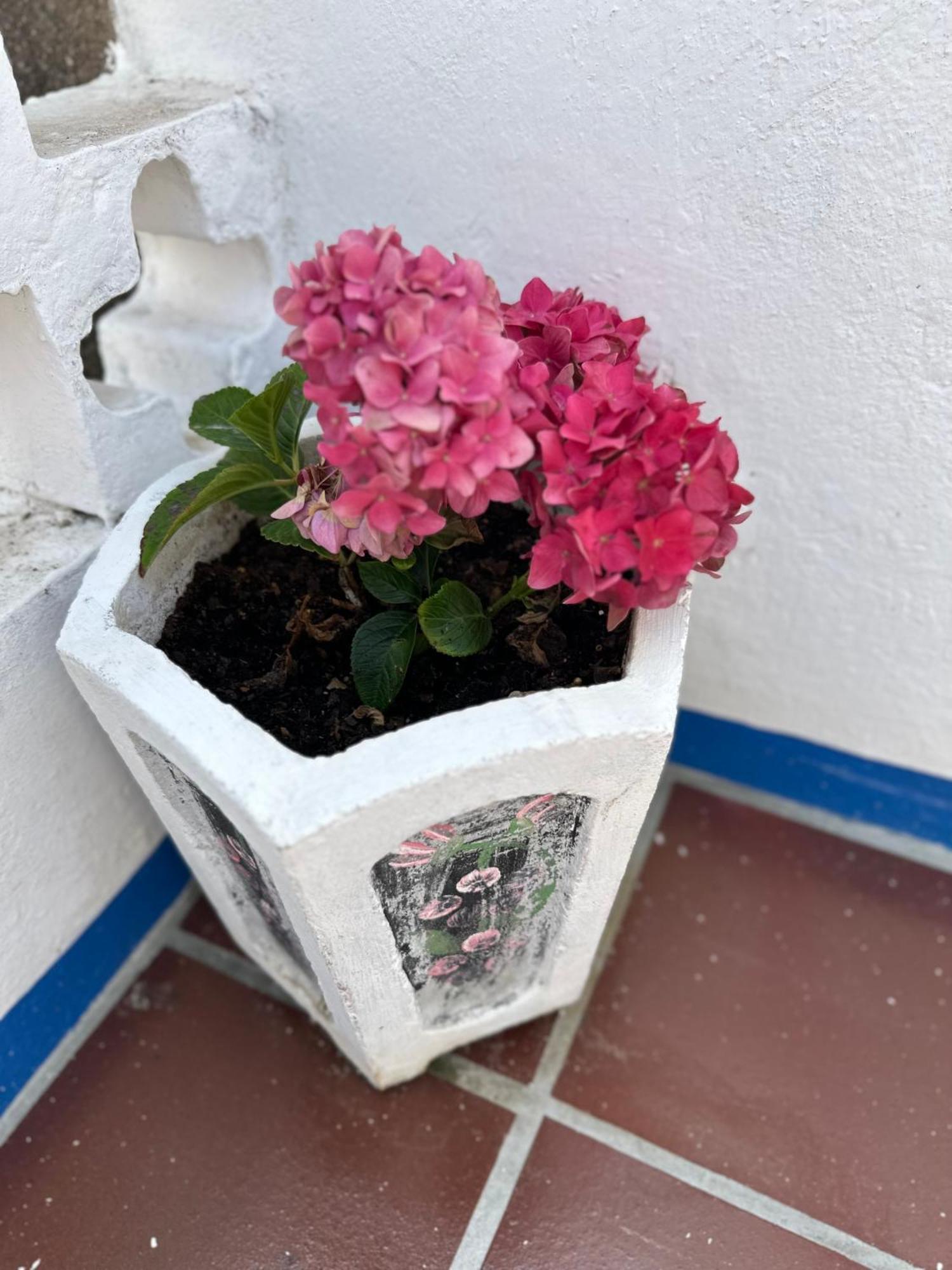 오비도스 Casa Do Poco B&B 외부 사진